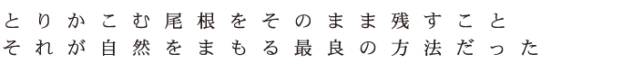 取り囲む尾根をそのまま残すこと　それが自然を守る最良の方法だった